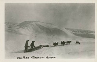 Dog Team - Barrow - Alaska